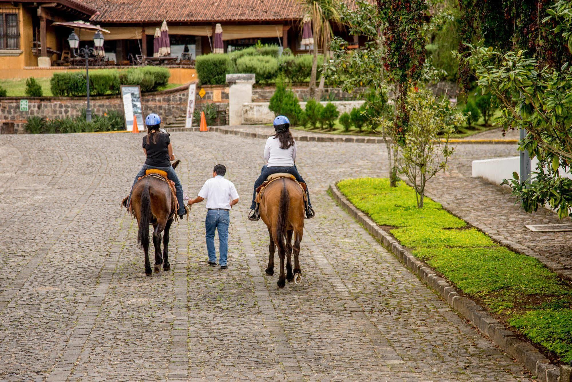 Filadelfia Coffee Resort & Tour Jocotenango Екстериор снимка