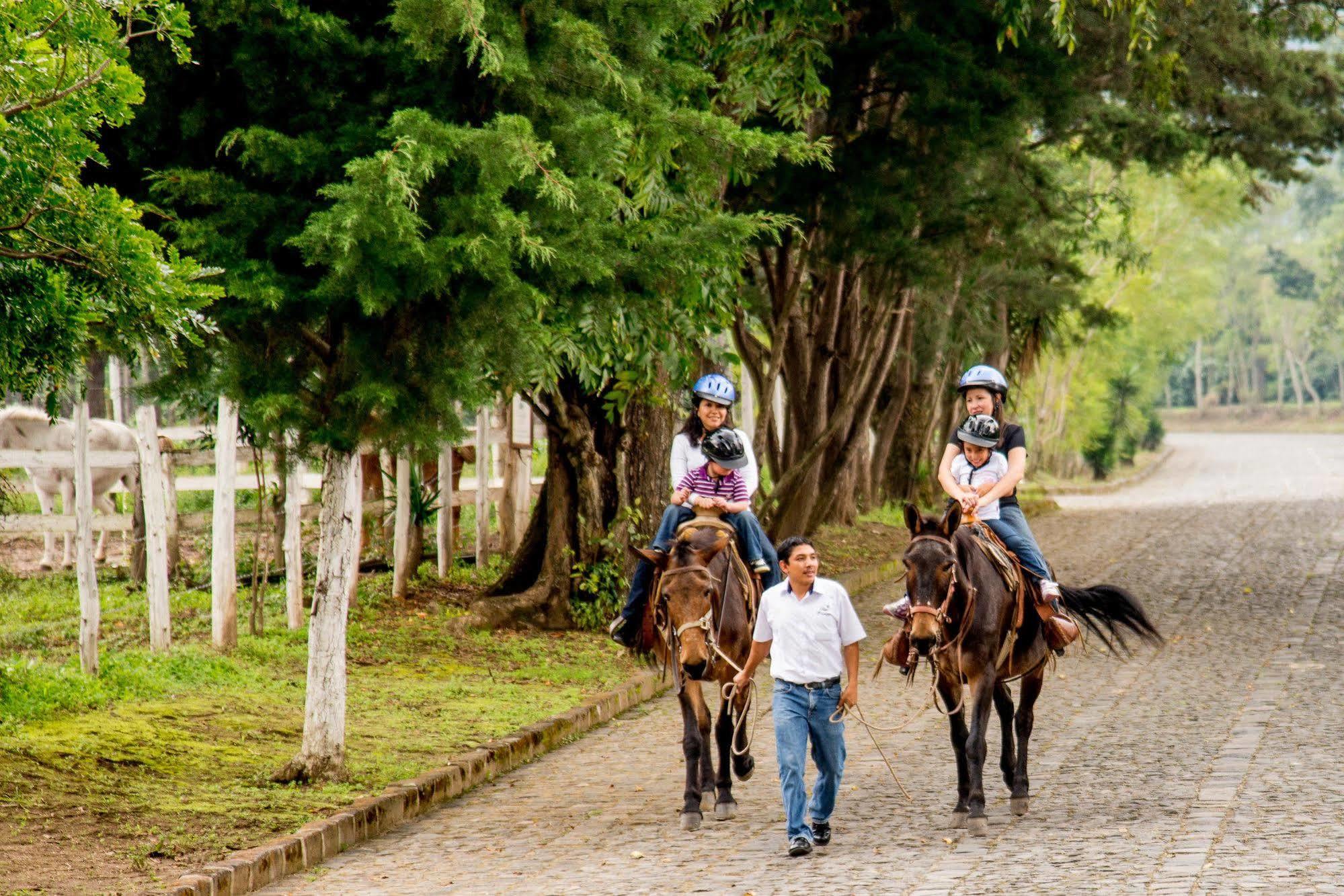 Filadelfia Coffee Resort & Tour Jocotenango Екстериор снимка